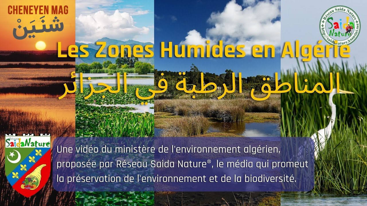 les-zones-humides-RSN®-©Hassen Ksantini