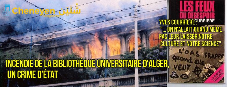 incendie_biblio-alger-786-ill_Cheneyen-Magazine