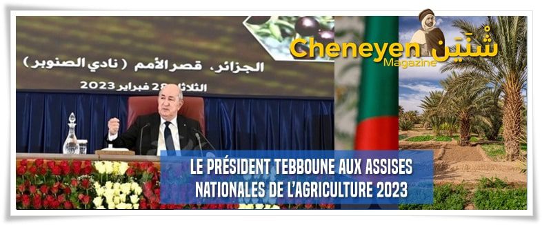 pdt-Tebboune-assises-agric_Cheneyen-Magazine-min
