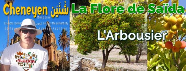 Flore de Saïda - Arbousier