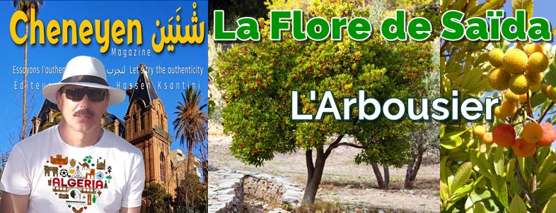 Flore de Saïda - Arbousier