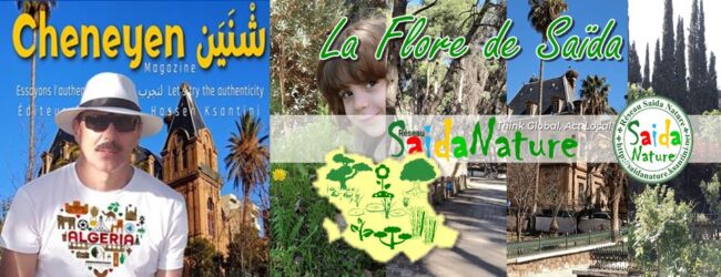 Flore de Saïda by SAIDNATURE - Cheneyen Magazine®