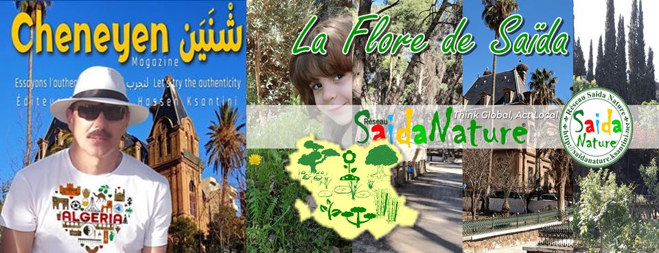 Flore de Saïda by SAIDNATURE - Cheneyen Magazine®
