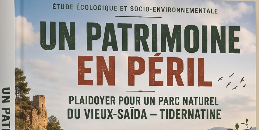 Un Patrimoine en péril : Plaidoyer pour un Parc Naturel duVieux-Saïda — Tidernatine